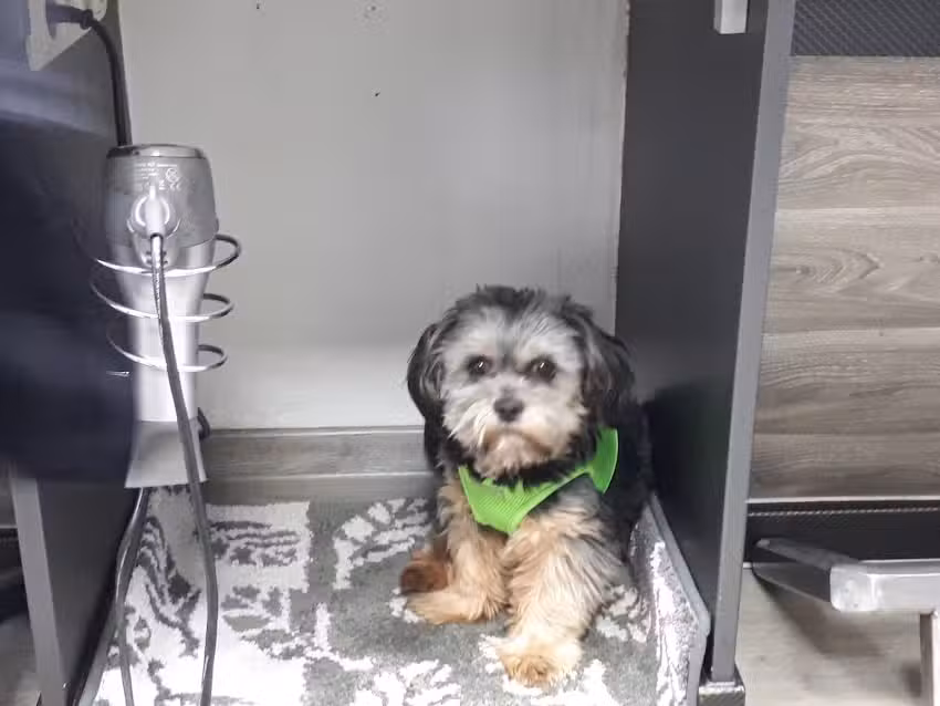 Andrea Neubauer Friseursalon Josie