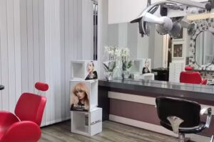 Art Hair Color & Cut Michaela Zekel-Stein