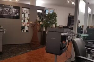 Art of Hair Stegmaier