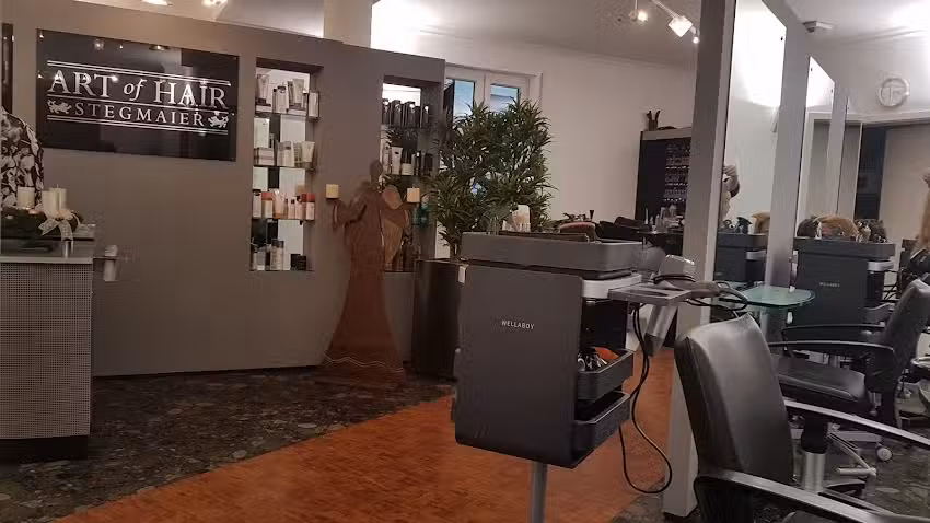 Art of Hair Stegmaier