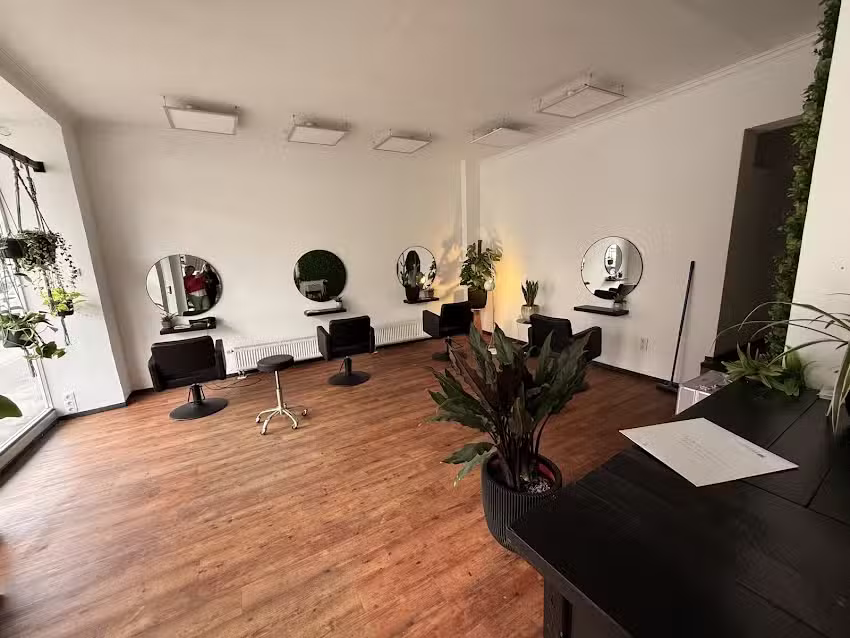ash & ivy vegan hair salon