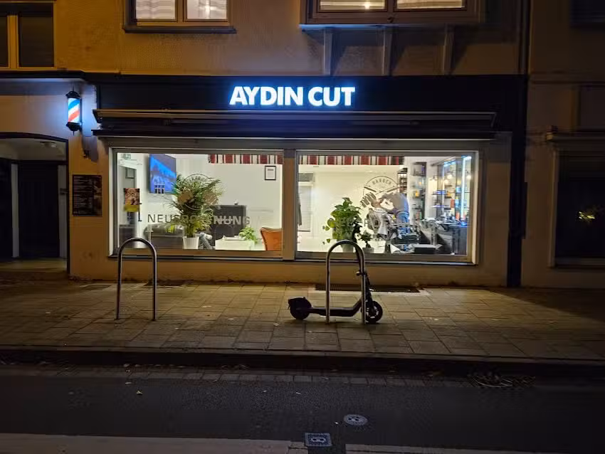 Aydin Cut
