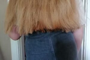 Babel Friseur Galerie Flensburg