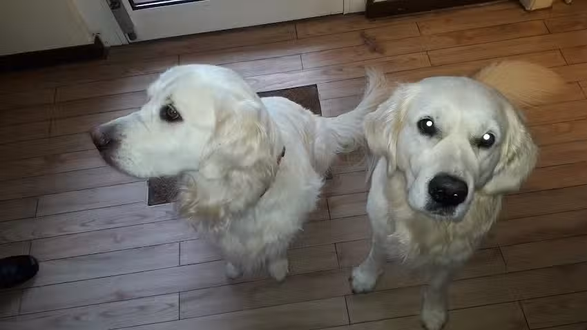 Ballin Hella Friseurin