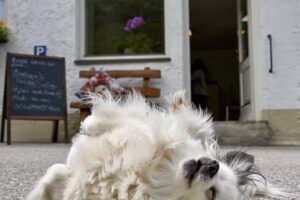 Barbaras Friseursalon