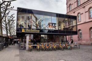 bloom&rsquo;s Friseur Mainz &ndash; H&ouml;fchen