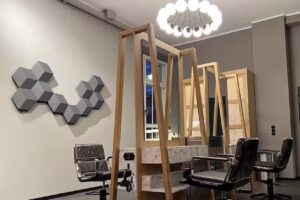 C /see/ Hauke Schmidt