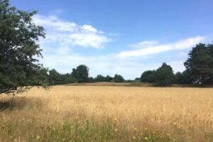 Caro`s Naturfriseursalon und Bioladen