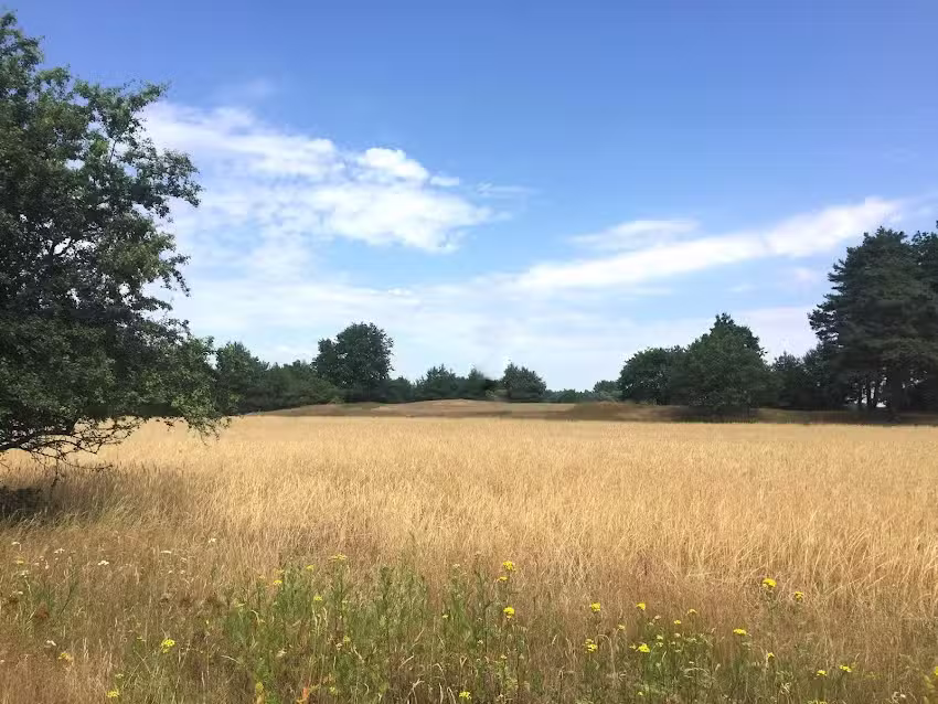 Caro`s Naturfriseursalon und Bioladen