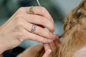 Celyst &bull; Dreadlocks