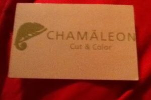 Cham&auml;leon Cut & Color