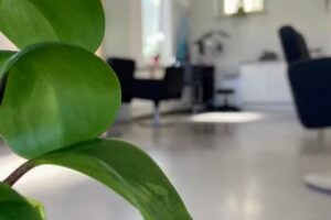 CL Friseur, Claudia Liebold