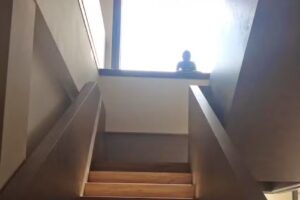 Claudia Dietze Friseure &ndash; Mehrwerthaarschnitte, Spezialist f&uuml;r Haarfarbe, Haarverl&auml;ngerung & Extensions