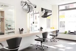 Creatif Fris&ouml;r &ndash; La Biosth&eacute;tique