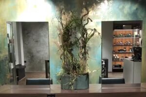 Cut & Color Haarmode