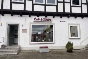 CUT & MORE Betina-Erika Bollert