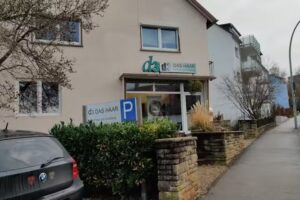 D3 Das Haar Birgit Woletz