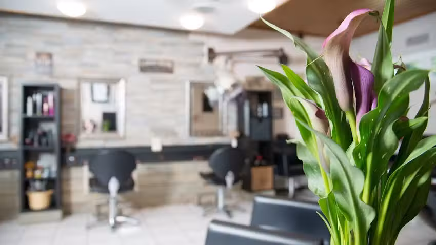 Dein Friseur