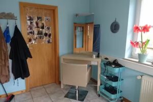 Der Inselfris&ouml;r