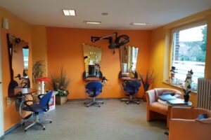 Diana Dorow Hairline