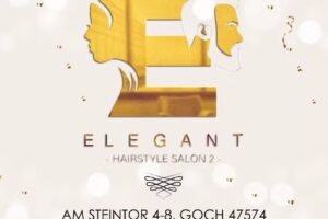 Elegant Hairstyle Salon 2