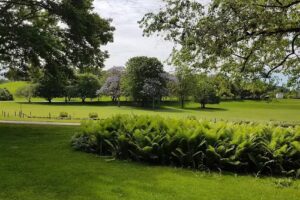 Erikas Frisurenmode &ndash; Erika Michels