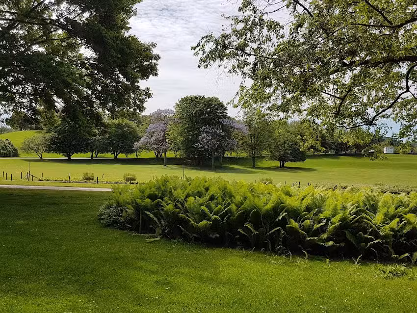 Erikas Frisurenmode &ndash; Erika Michels