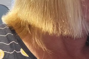 Essanelle Ihr Friseur Kaufland Bremerhaven