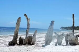 Family Hairstudio Inh. Nadine Jucha Friseur