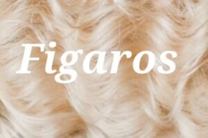 Figaros – Hanke & Raczkowski GbR