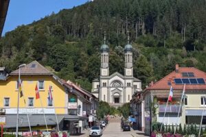 Franziska Melch Trend Hair by Franzi