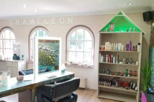 Friseur Chameleon