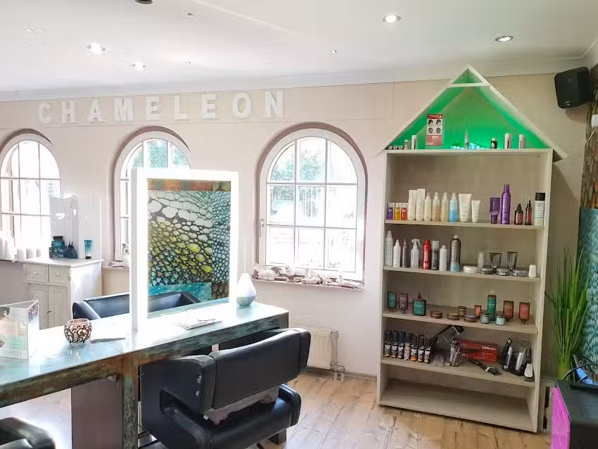 Friseur Chameleon