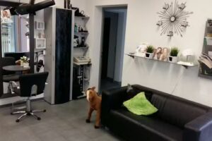 Friseur Haarfashion Pfedelbach