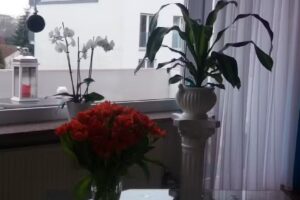 Friseur Haarmonie &ndash; Frankfurt Kalbach