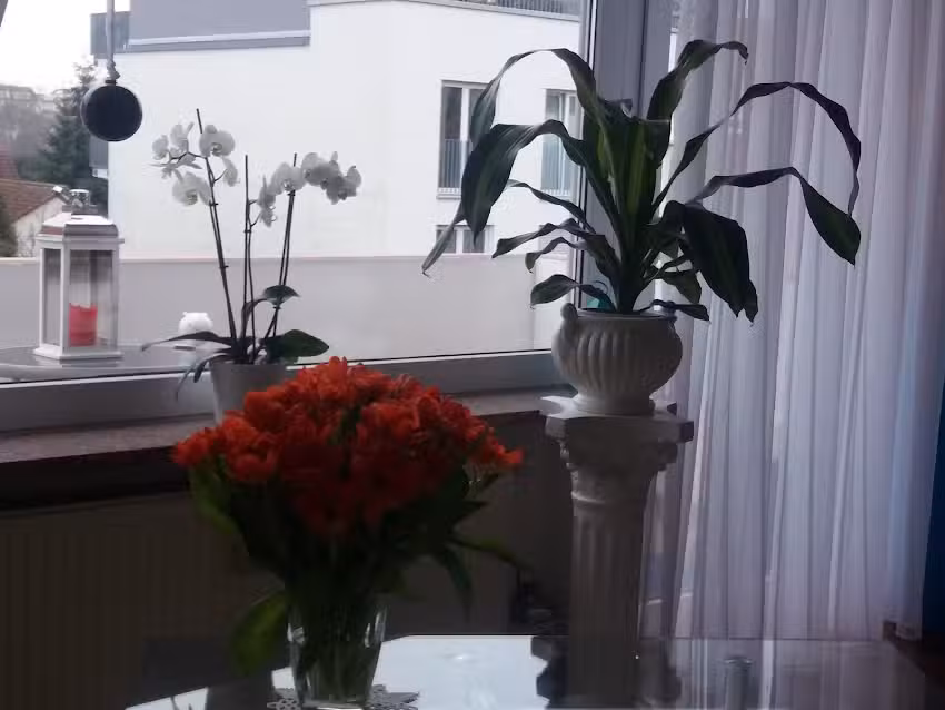 Friseur Haarmonie &ndash; Frankfurt Kalbach