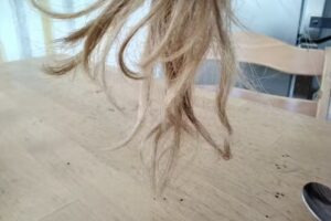 Friseur KLIER Globus Zwickau