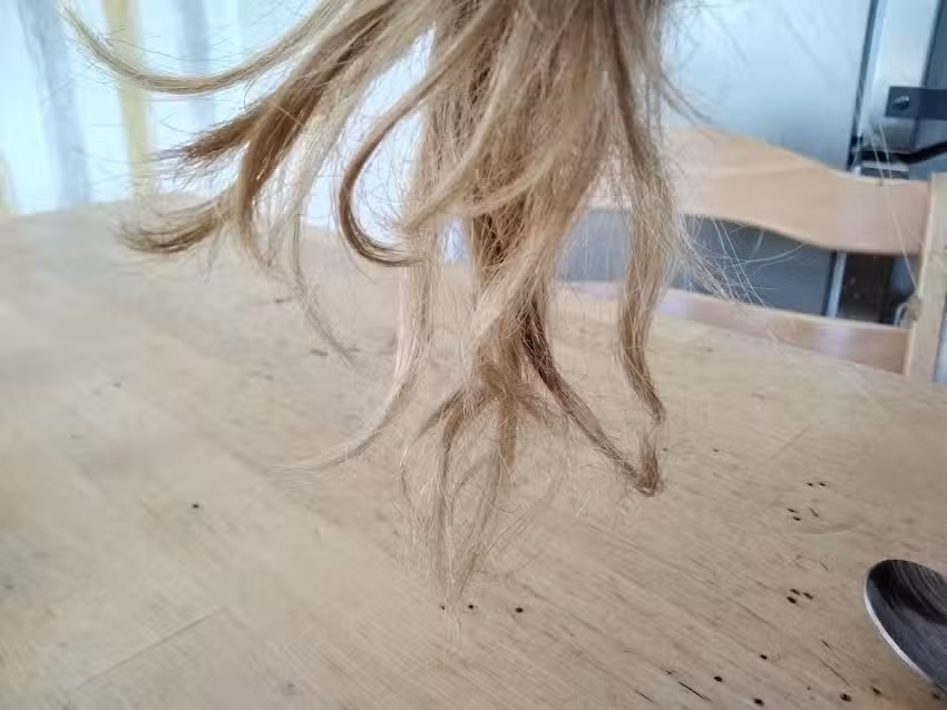 Friseur KLIER Globus Zwickau