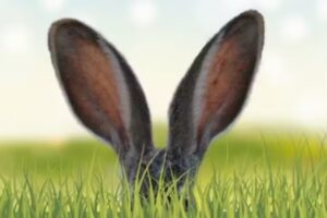 Friseur Kuschel Hessisch Lichtenau