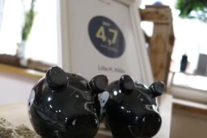 Friseur Lille H. K&ouml;&ouml;v &ndash; Nat&uuml;rlich sch&ouml;n &ndash; ohne Stress