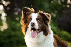 Friseur Niklas Wilhelm