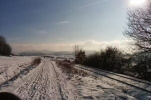 Friseur Tonstrina Inh. Veronika Kerschbaum