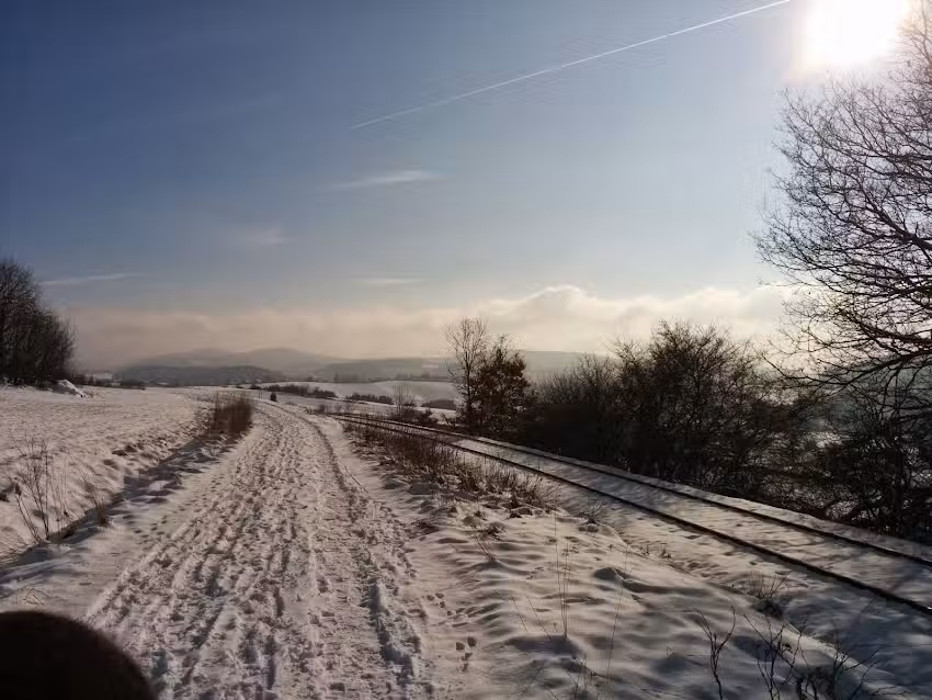 Friseur Tonstrina Inh. Veronika Kerschbaum