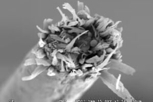 Friseurgutachter Ingo Wertenbruch