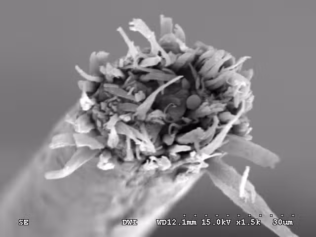 Friseurgutachter Ingo Wertenbruch