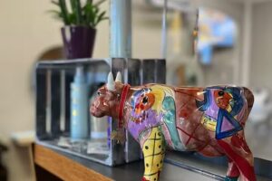 Friseursalon Andrea Faur