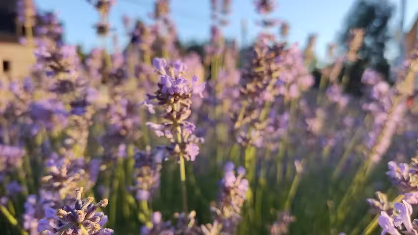 Friseursalon Christian Schneider