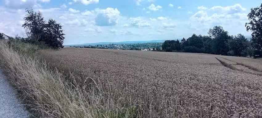 Friseursalon & Per&uuml;ckenstudio Uta Hascher