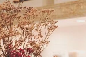 Friseursalon Schnaddels | nat&uuml;rlich sch&ouml;n.