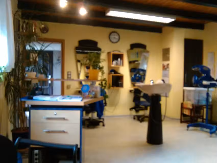 Friseursalon Vestner